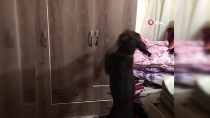 Jandarmadan esrar ve tarihi eser operasyonu