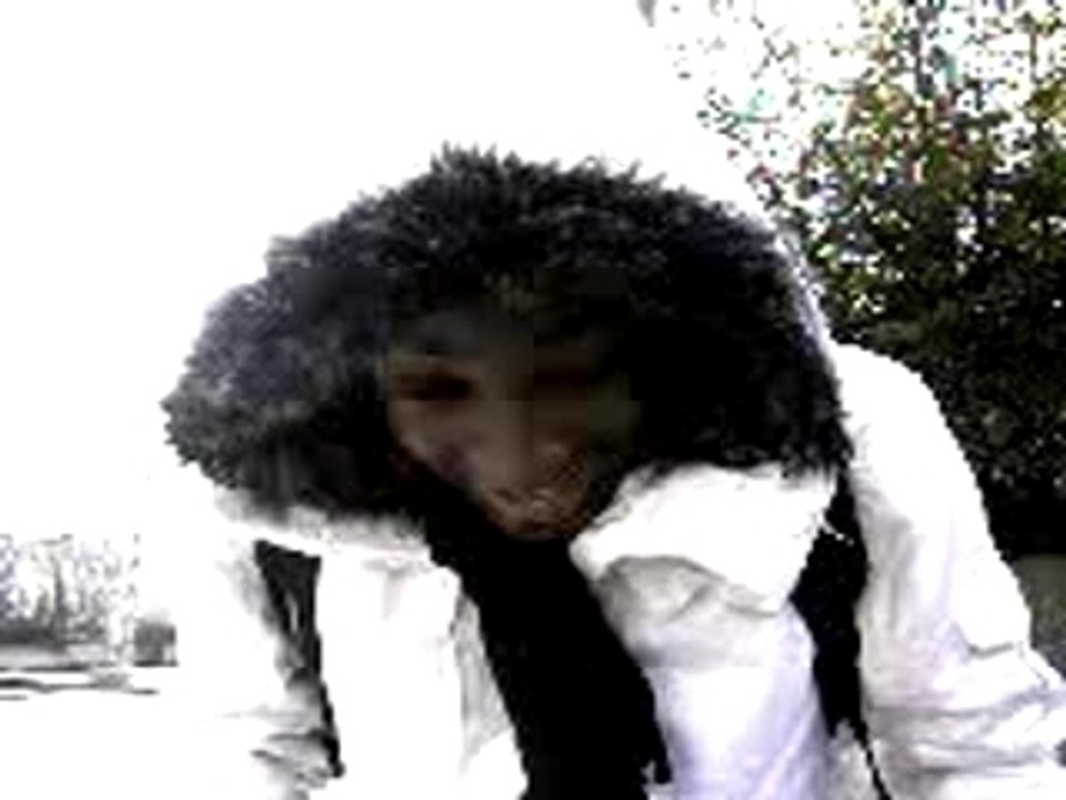 Steven Say OUI