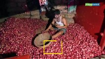 Explained | Why onion prices have skyrocketed