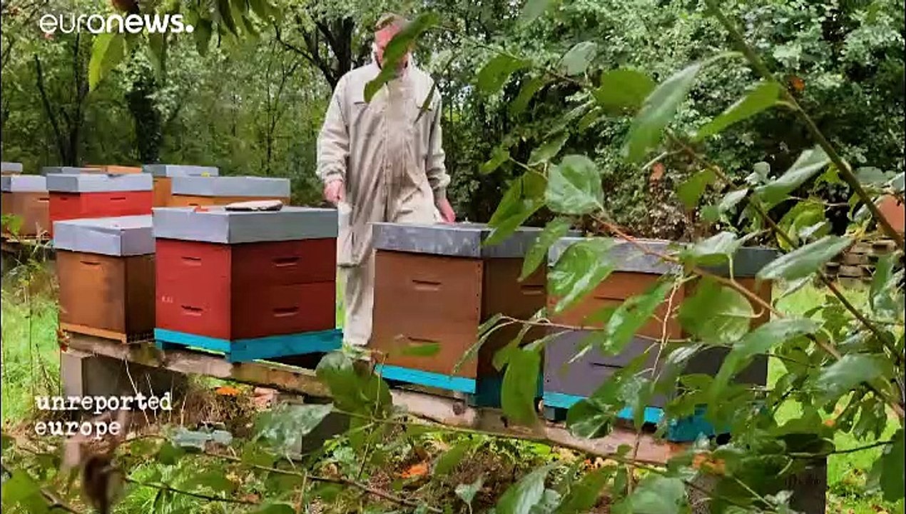 Pesticides en France : un débat toxique