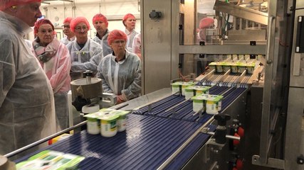 Visite de l’usine Vrai