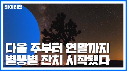 연말 수놓을 별똥별 잔치 시작됐다 / YTN