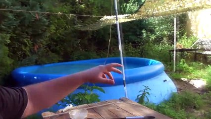 Drache Labert Part 10