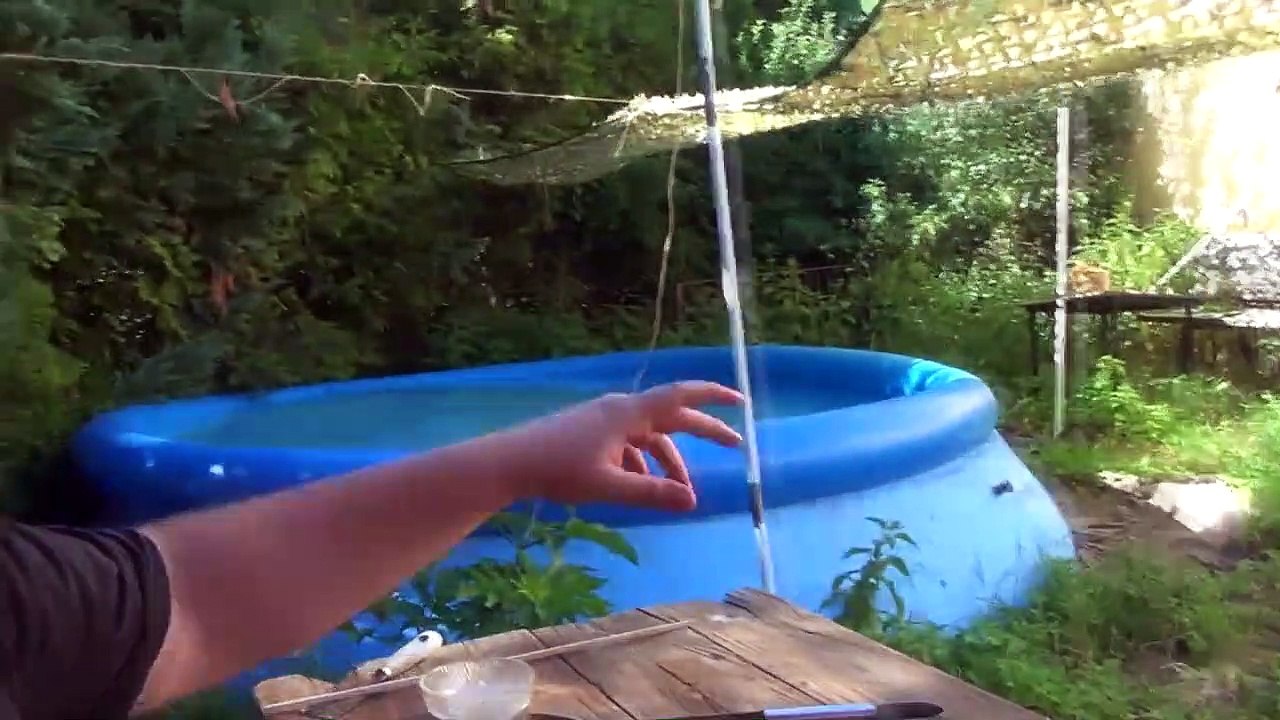 Drache Labert Part 10