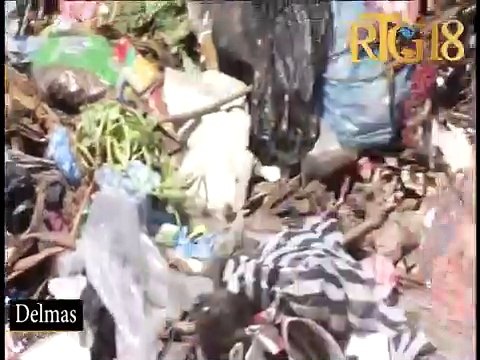 Port-au-Prince / Figi Lari / 8 Novembre 2019