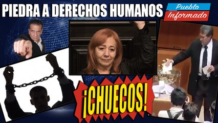 CONTROVERSIA en la designación de ROSARIO PIEDRA IBARRA a la CNDH