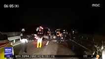 밤사이 교통사고 잇따라…멧돼지 도심 '로드킬'