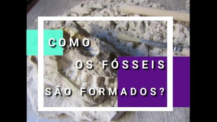 Como os FOSSEIS são formados?