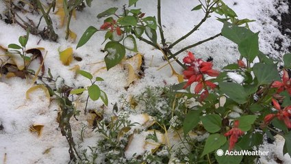 First flakes of the season for many in New England