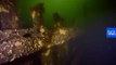 Watch: Divers find shipwreck that could be 17th century Swedish warship
