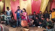 Arkestra bhojpuri dance 2019 __ ( 360 X 640 )