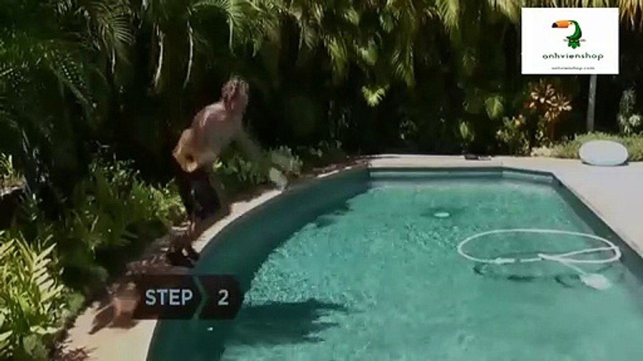 aqua jog