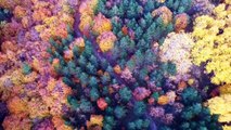 Domaniç Dağları'nda rengarenk sonbahar - KÜTAHYA