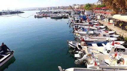 Lüfer Marmara'da balıkçının yüzünü güldürmeye başladı