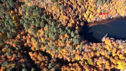 Bolu yedigöller'de renk cümbüşü