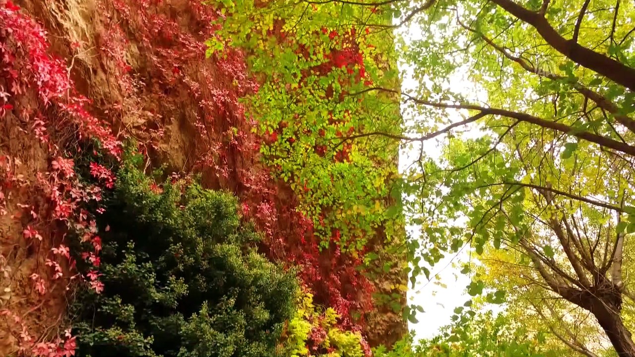 Tohma Kanyonu sonbaharda doğa tutkunlarının uğrak mekanı - MALATYA