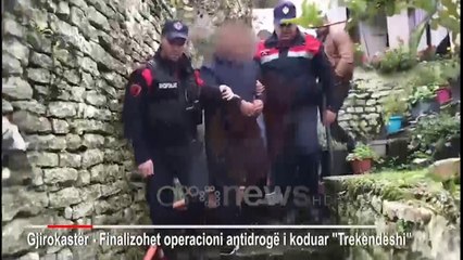 Shkatërrohet "Trekëndëshi" i kanabisit në Gjirokastër, arrestohet organizatori dhe financuesi