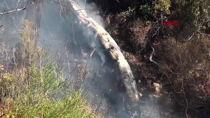 Video herunterladen: Muğla seydikemer'de orman yangını