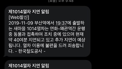 부산발 ITX 새마을호 멧돼지 충돌 1시간 운행 지연 / YTN