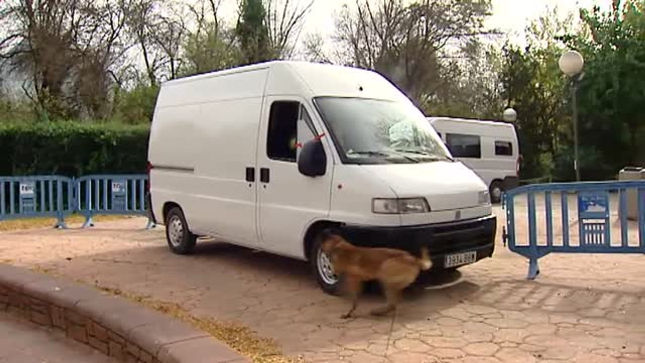 Madrid acoge la exhibición de guías caninos de la Policía Nacional