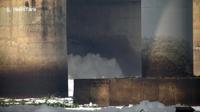 Toxic foam pollutes India's sacred Yamuna River