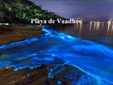 Vaadhoo (Maldivas)