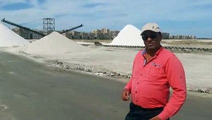 ملاحة بورفؤاد تنتج 300 ألف طن وتحقق أعلى مبيعات منذ 160 عاما