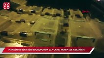 Mardin'de 217 canlı akrep ele geçirildi