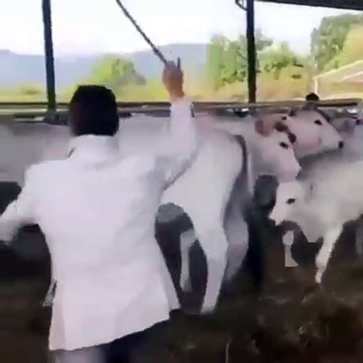 Hayvana eziyetin sonu dehşet