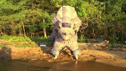 AVGN 172 (Legendado)