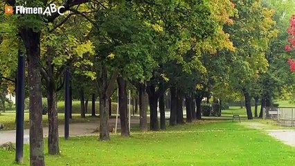 TBK Büro für Ökologie & Landschaftsplanung Dipl.-Ing. Dr. Harald Kutzenberger in Wilhering