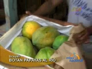 BOTAN PAPAYAS AL RÍO  - PUCALLPA
