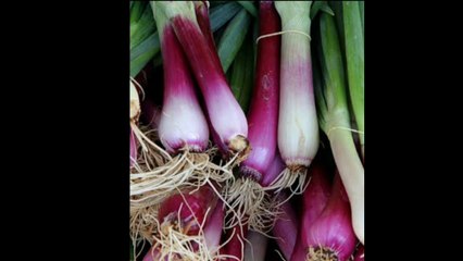 प्याज 80 रुपये के पार जा चुके हैं, ऐसे में बिना प्याज की ग्रेवी इस तरह बनाये,Gravy without onion tips