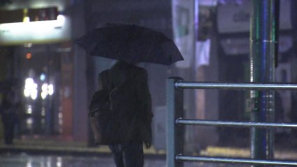 [날씨] 휴일 흐리고 밤부터 비...늦가을 정취 가득 / YTN