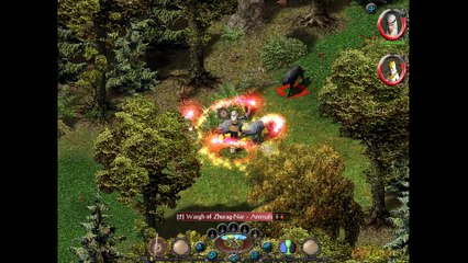Sacred Gold Gameplay - PC - 1440p60 - No Commentary