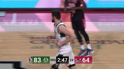 Dragan Bender (18 points) Highlights vs. Windy City Bulls