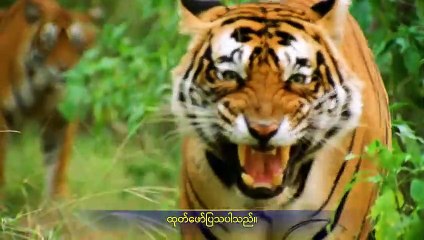 Best Myanmar Gospel Music Documentary (အရာခပ်သိမ်းအပေါ် အချုပ်အခြာအာဏာ စွဲကိုင်ထားသူ) ဘုရားသခင် ကမ္ဘာမြေကြီးကို ဖန်ဆင်းခြင်း