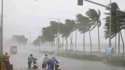 Download Video: Cyclone Bulbul: PM Modi speaks with West Bengal CM Mamata Banerjee on situation