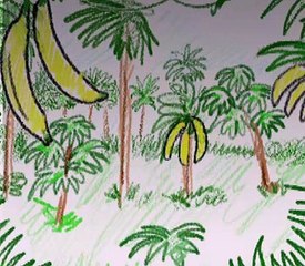 Baby Einstein 21 - World Animals - A Musical Safari (06mos)