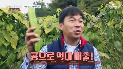'콩으로 억대 매출 내는 청년 농부' 커피 맛이 나는 작두콩이 있다?!