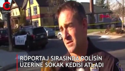 Röportaj sırasında polisin üzerine sokak kedisi atladı