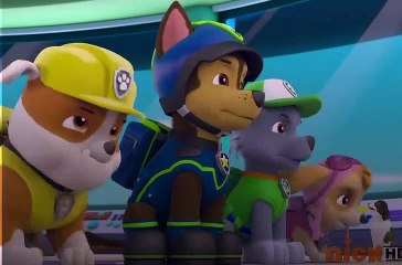 Pups and the Mischievous Kittens