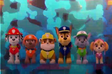 Pups Leave Marshall Home Alone
