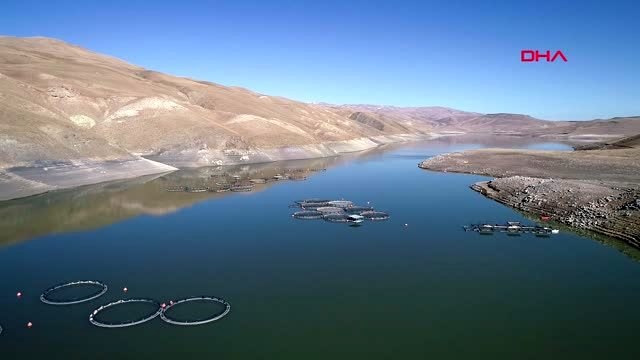 Van gölü havzası için 'zebra midye' tehlikesi