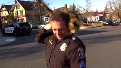 Röportaj sırasında polisin üzerine sokak kedisi atladı