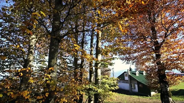 Hıdırnebi Yaylası sonbaharda görsel şölen sunuyor - TRABZON