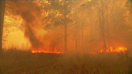 Viktima nga zjarret ne Australi