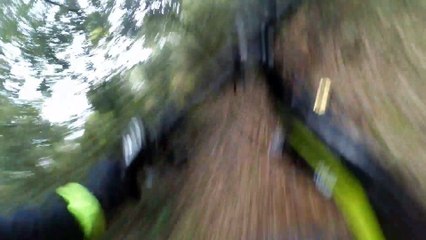 Test VTT du stabilisateur Feiyu WG2X