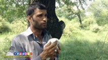Jasa Karni Wasa Barni - Sayth Ka Kafan - Heart Touching Video