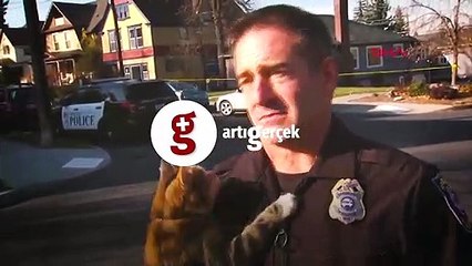 Röportaj sırasında sokak kedisi polisin üzerine atladı